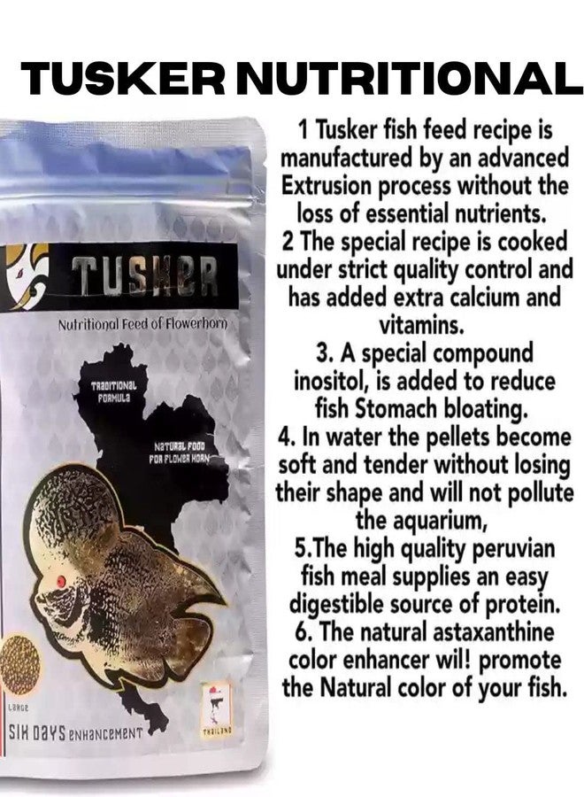 VAYINATO Tusker Nutritional Feed Of Flowerhorn Fish Food(Original)Pouch,100G|Traditional Formula,Natural Food For Flowerhorn With 55% Protein - Image 5